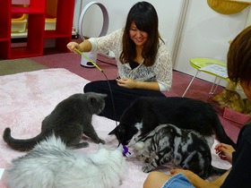 桜美林大学の仲良し学生さん ねこ喫茶とうせい相模原の猫カフェにて ブログ 神奈川県 相模原市 淵野辺のカフェ ねこ喫茶とうせい