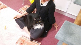 海老名から母娘様 相模原の猫カフェねこ喫茶とうせいへ ブログ 神奈川県 相模原市 淵野辺のカフェ ねこ喫茶とうせい